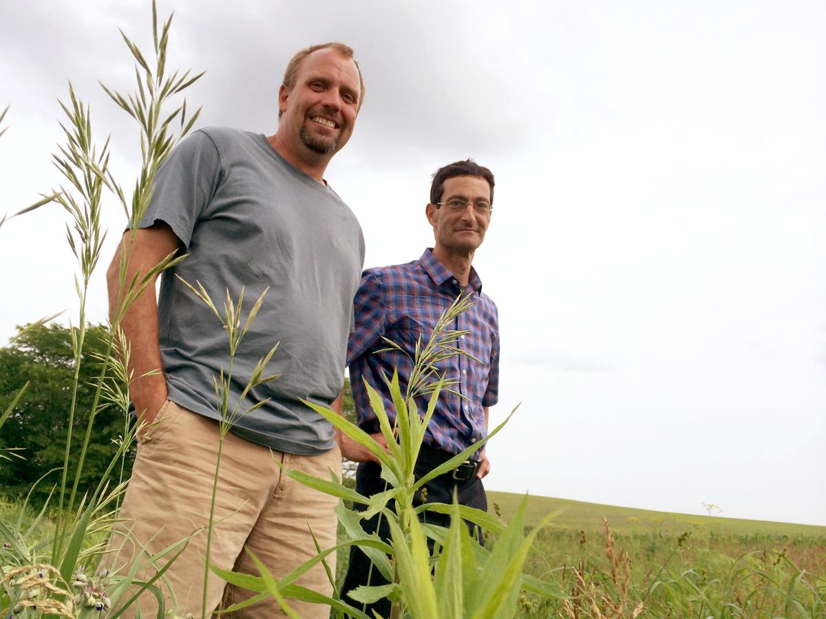 Iowa's Corn Farmers Learn To Adapt To Weather Extremes | All Things ...