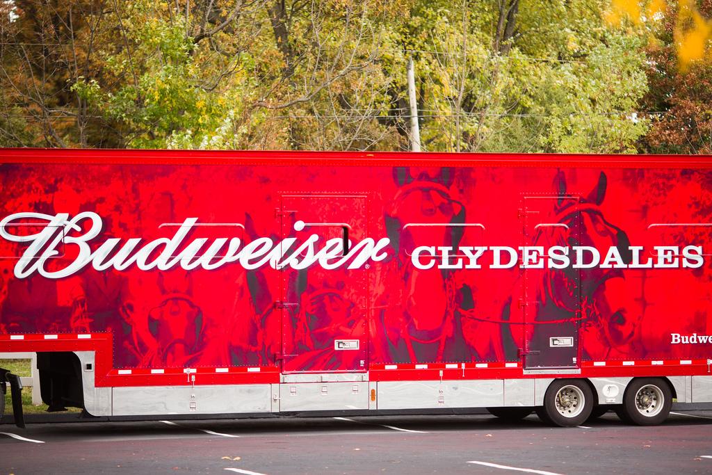 Budweiser Shifts Focus To Millennials, Moves Away From Clydesdales ...