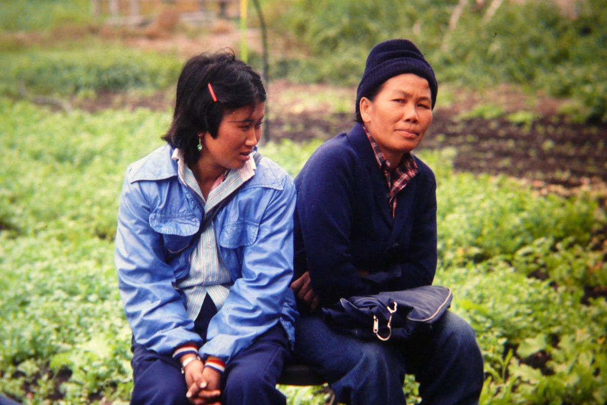 Seattle's Hmong Immigrants Remember Their Homeland | WNYC | New York ...