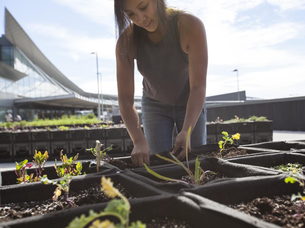 Обильный урожай овощей