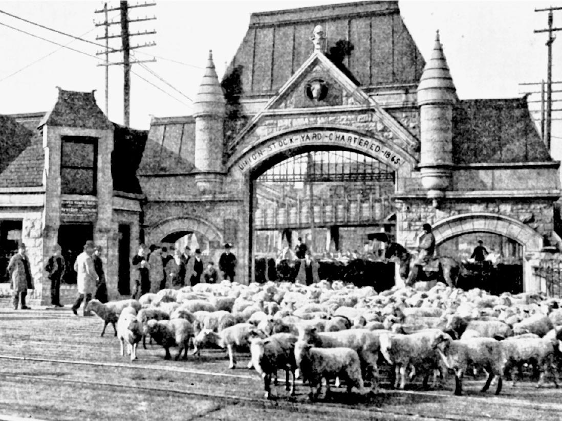 How Chicago's Slaughterhouse Spectacles Paved The Way For Big Meat