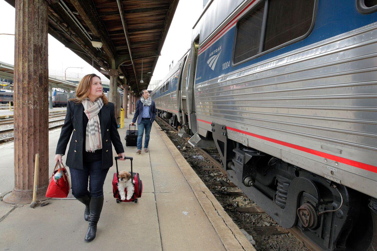 can dogs go on amtrak