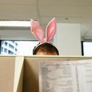 Do you have annoying co-workers?