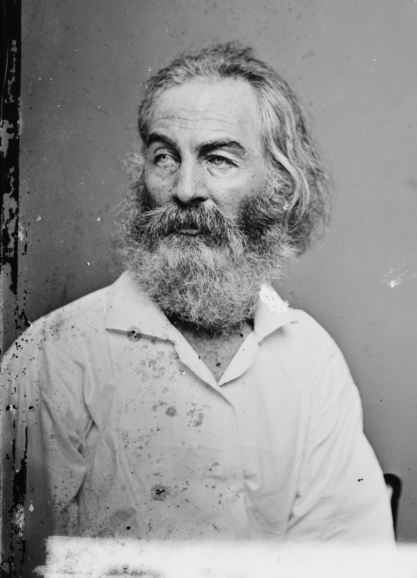 Was Whitman A Racist? The Evidence Revealed
