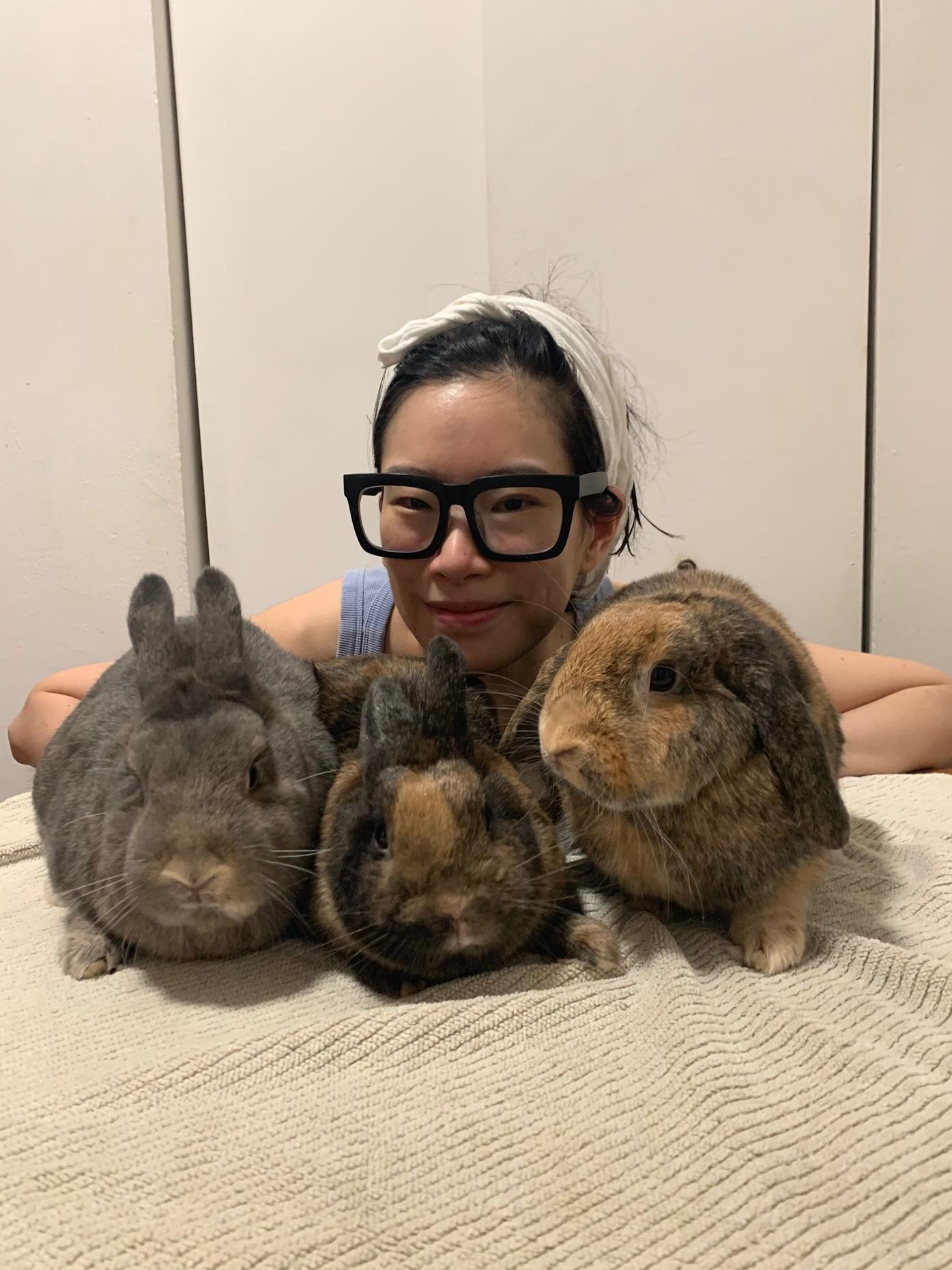 Rabbits used in Anna Delvey's photoshoot and later found abandoned in  Prospect Park sparks outrage on the internet. We talk to the person who  saved them. | WNYC News | WNYC
