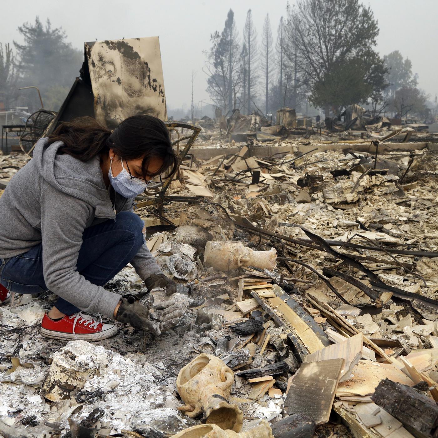 'Everybody Has Been Devastated': Evacuees Plead for Help as Wildfires
Torch California