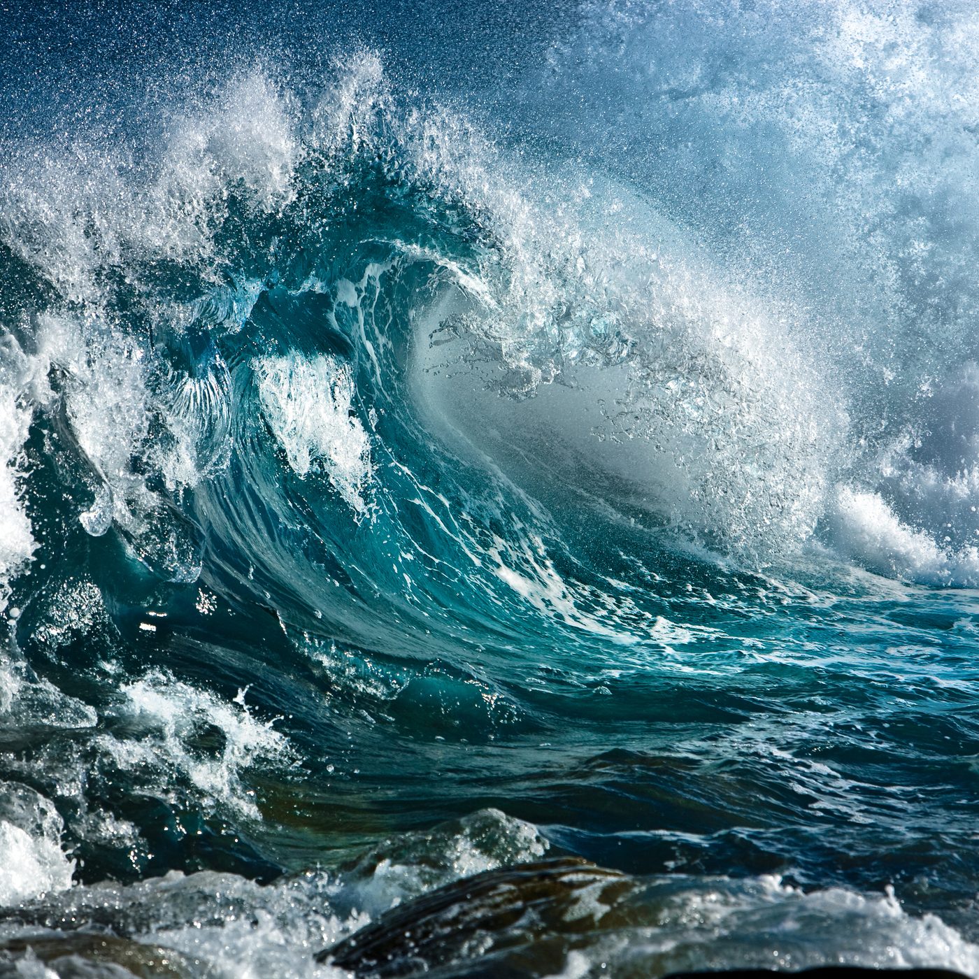 Trashing the High Seas (The Takeaway)