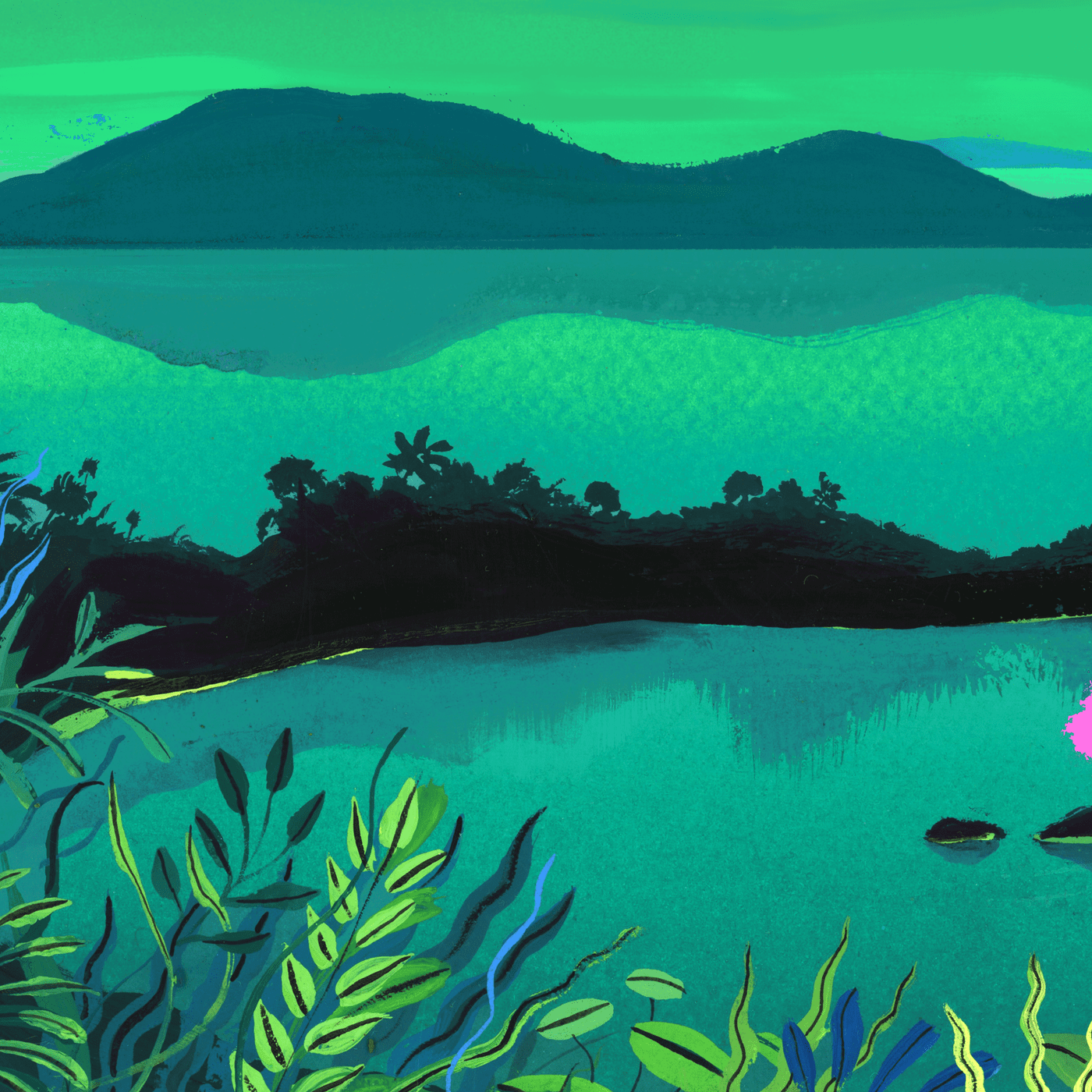 The Bullseye: Treasure Hunt to Recursive Islands | Radiolab for Kids ...
