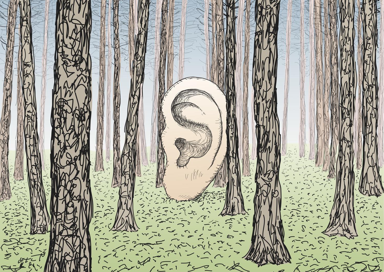 Noise The Defining Sounds From Human History The Takeaway WNYC Studios