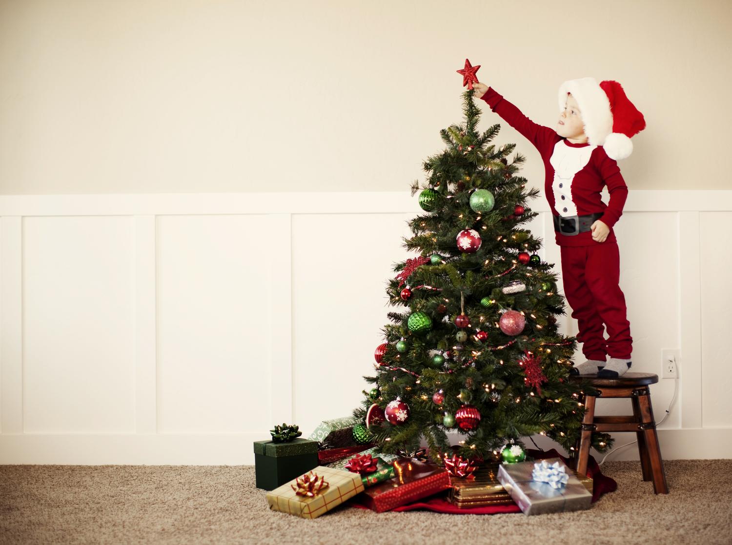 The Takeaway Weekender Christmas Trees, Phenomena, and Jargon