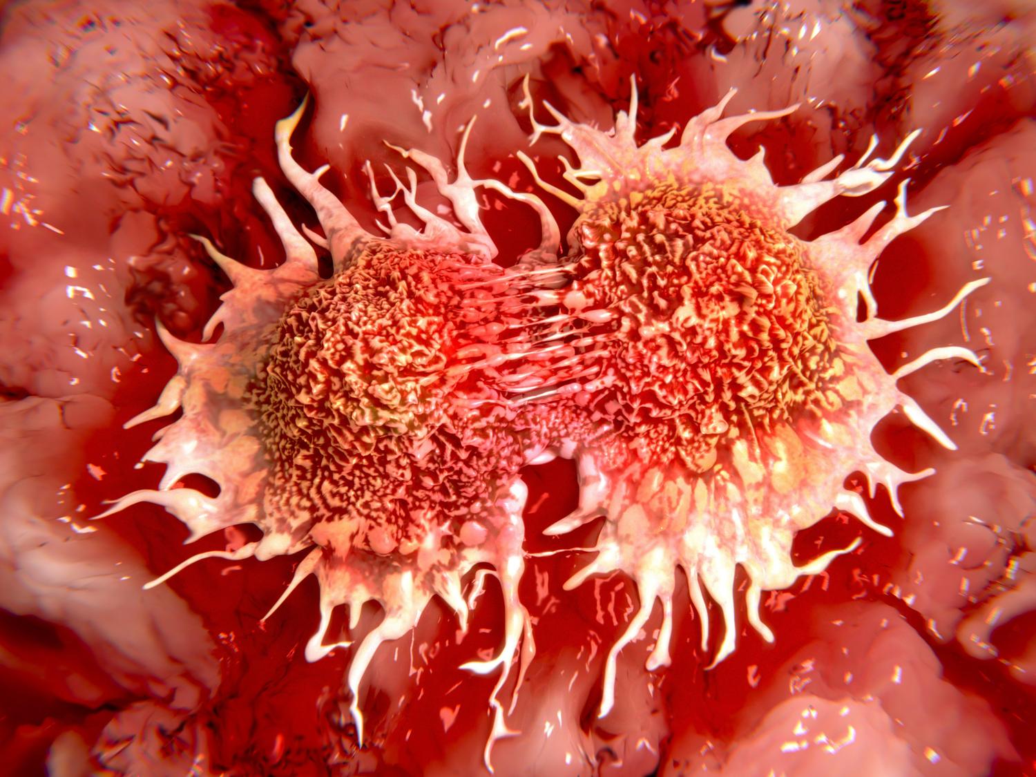 The Too-Good-To-Be-True Cancer Cure