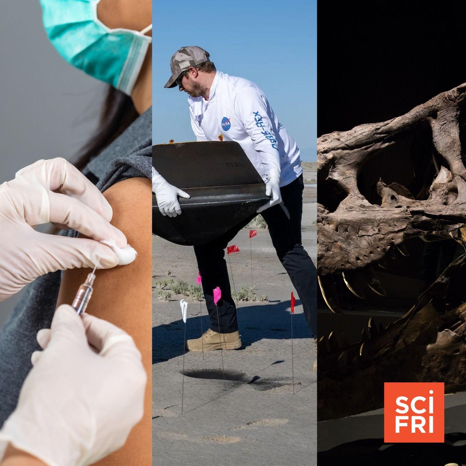 Top Science News Stories of 2023 Solar Panels In Historic Cape Cod