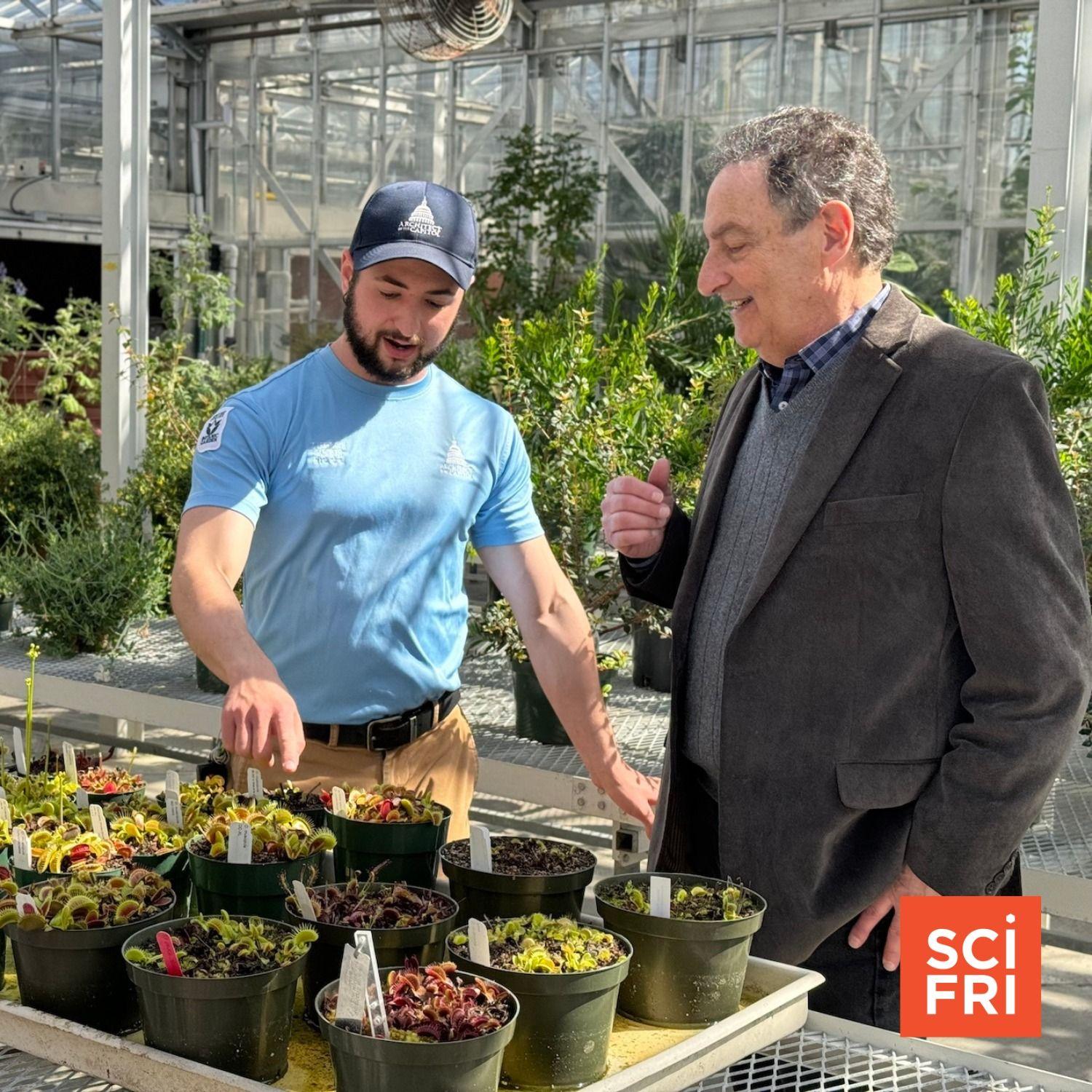 Botanical Rescue Centers Take In Illegally Trafficked Plants Science