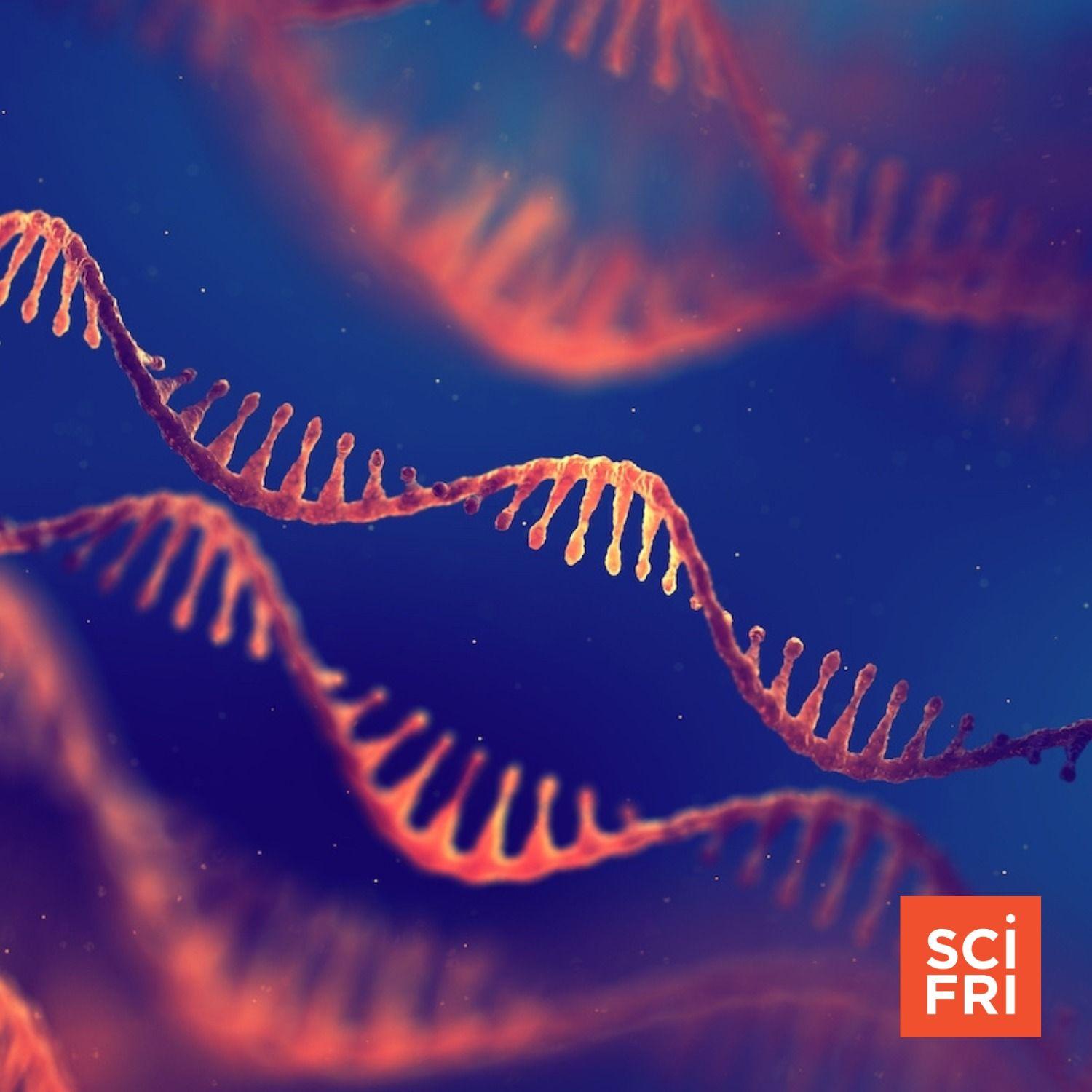 Step Aside, DNA. It’s RNA’s Time To Shine. Science Friday WNYC Studios