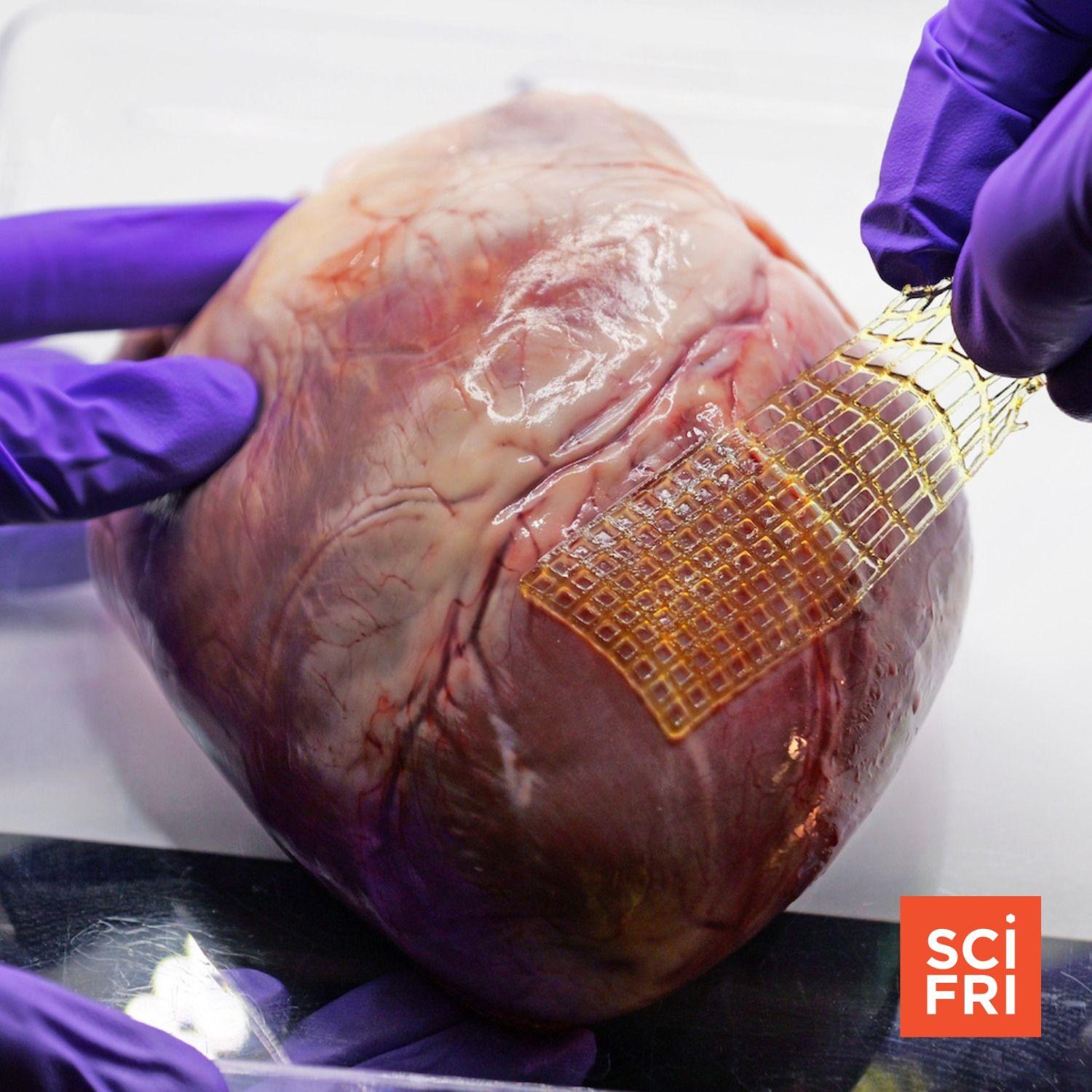 Hurricane Helene's Effect On The Global Tech Industry A Stretchy Band