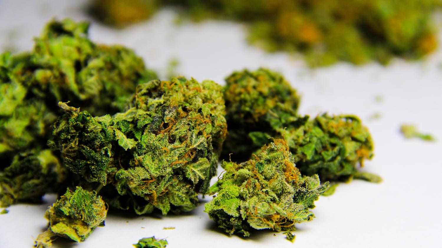 Марихуана в семикаракорск марихуана семена киев