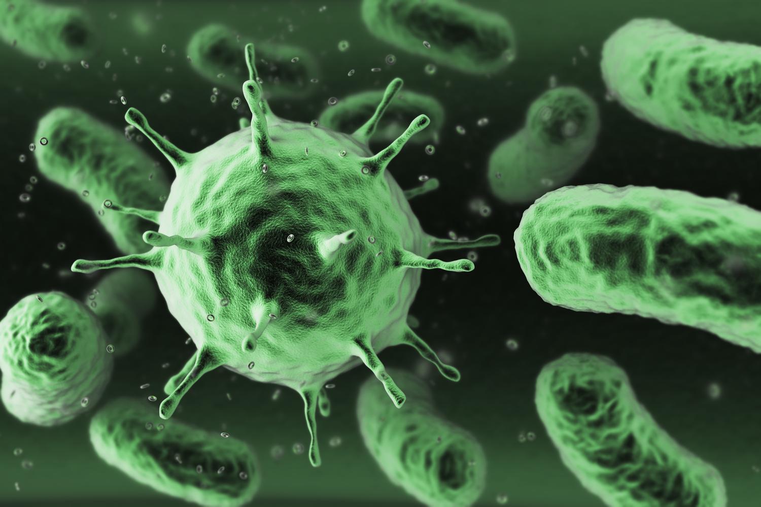 Why Bacteria Can Be Good for Us | The Takeaway | WNYC