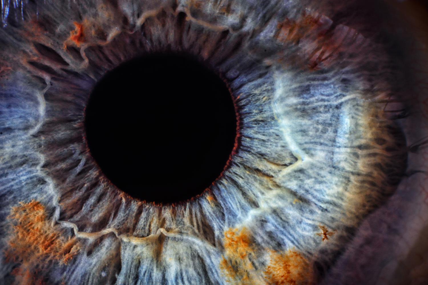 Please Explain: The Eye | The Leonard Lopate Show | WNYC