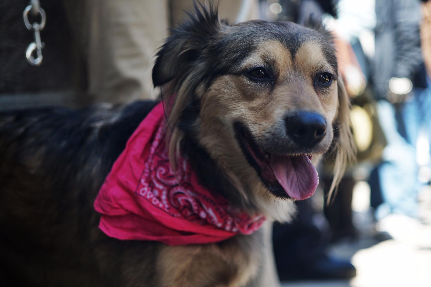 Https Beta Prx Org Stories 256170 2021 04 06t15 44 19 04 56 Never 0 5 Https Www Wnyc Org Story Tn Moving Stories 04292014 2014 04 29t09 01 03 04 56 Never 0 5 Https Media Wnyc Org I 1500 1000 L 80 1 7860588868 F3c33a551c O Jpg Https Www