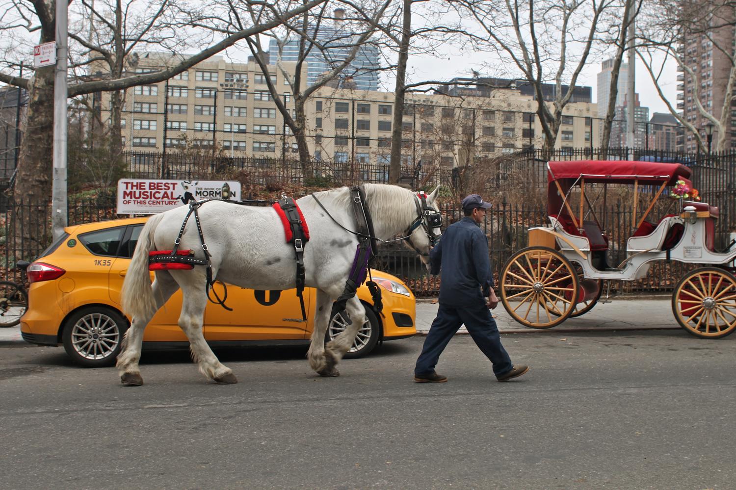 Time Running Out For Carriage Horses 