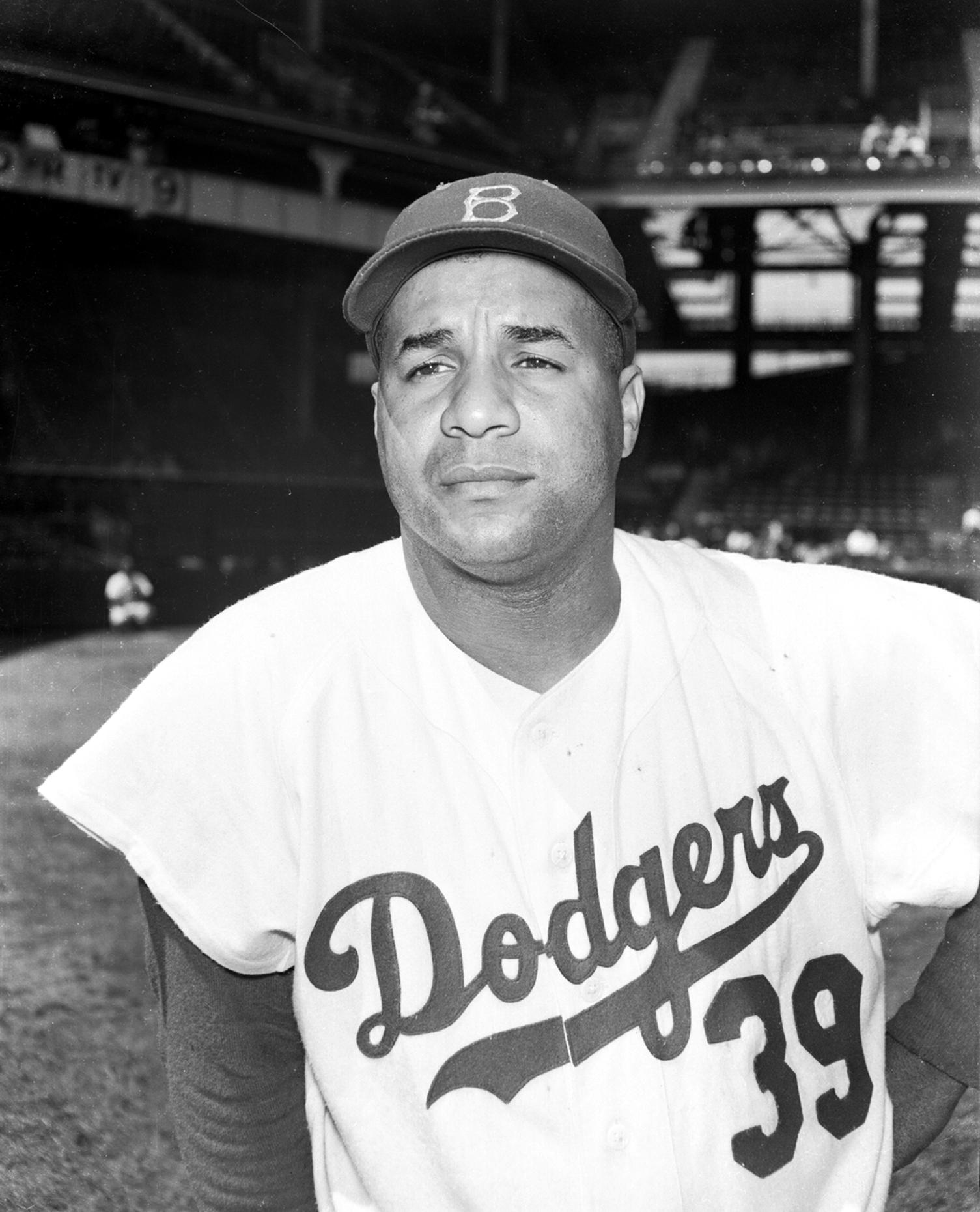 Roy Campanella, Annotations: The NEH Preservation Project