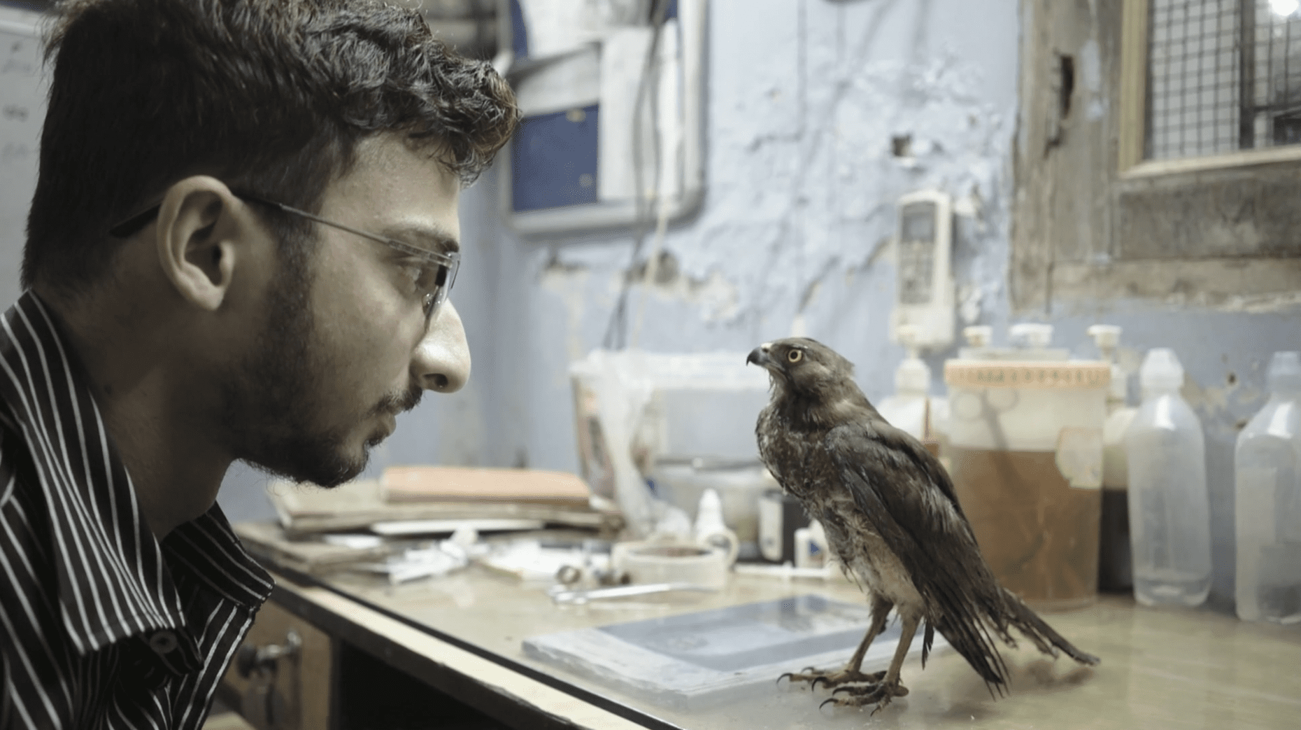 A New Delhi Bird Hospital in 'All That Breathes' All Of It WNYC Studios