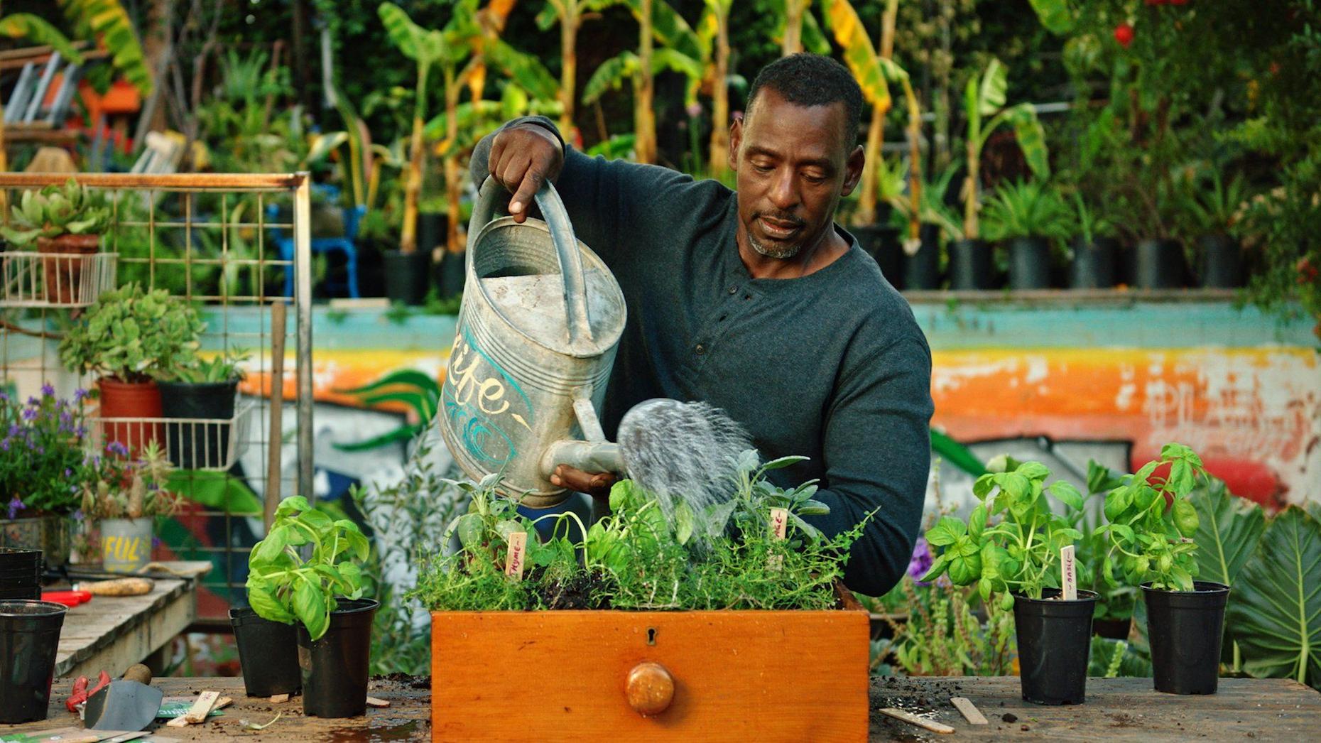 Bloom amid Covid gloom: Home gardening fills up lockdown days