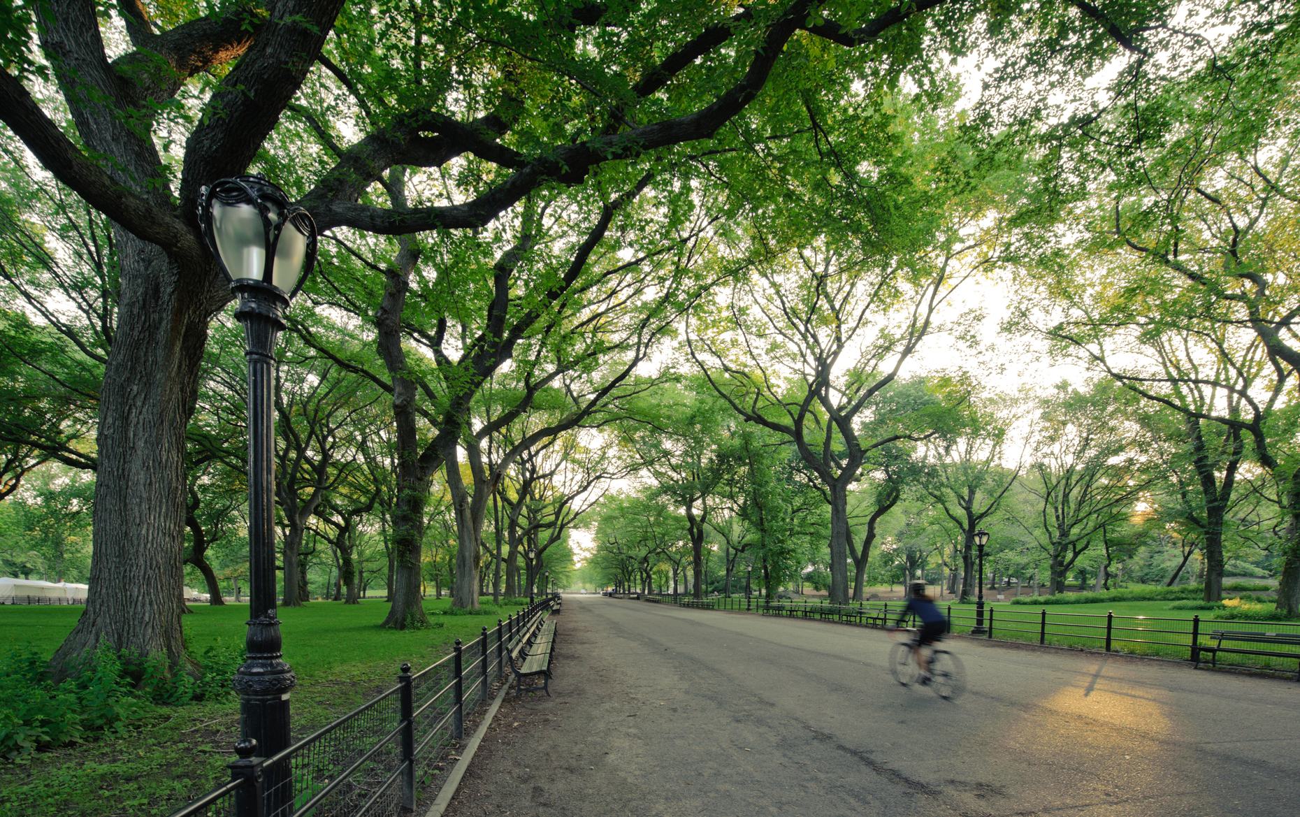 Car-Free Parks; A Win For the ACA; How Weather Affects Us | The Brian ...