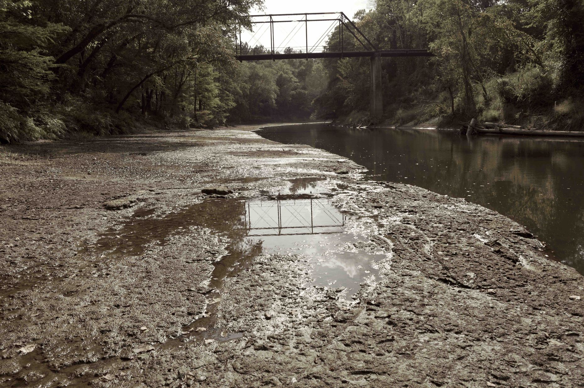 Searching for the Truth of 'The Hanging Bridge' The Takeaway WNYC