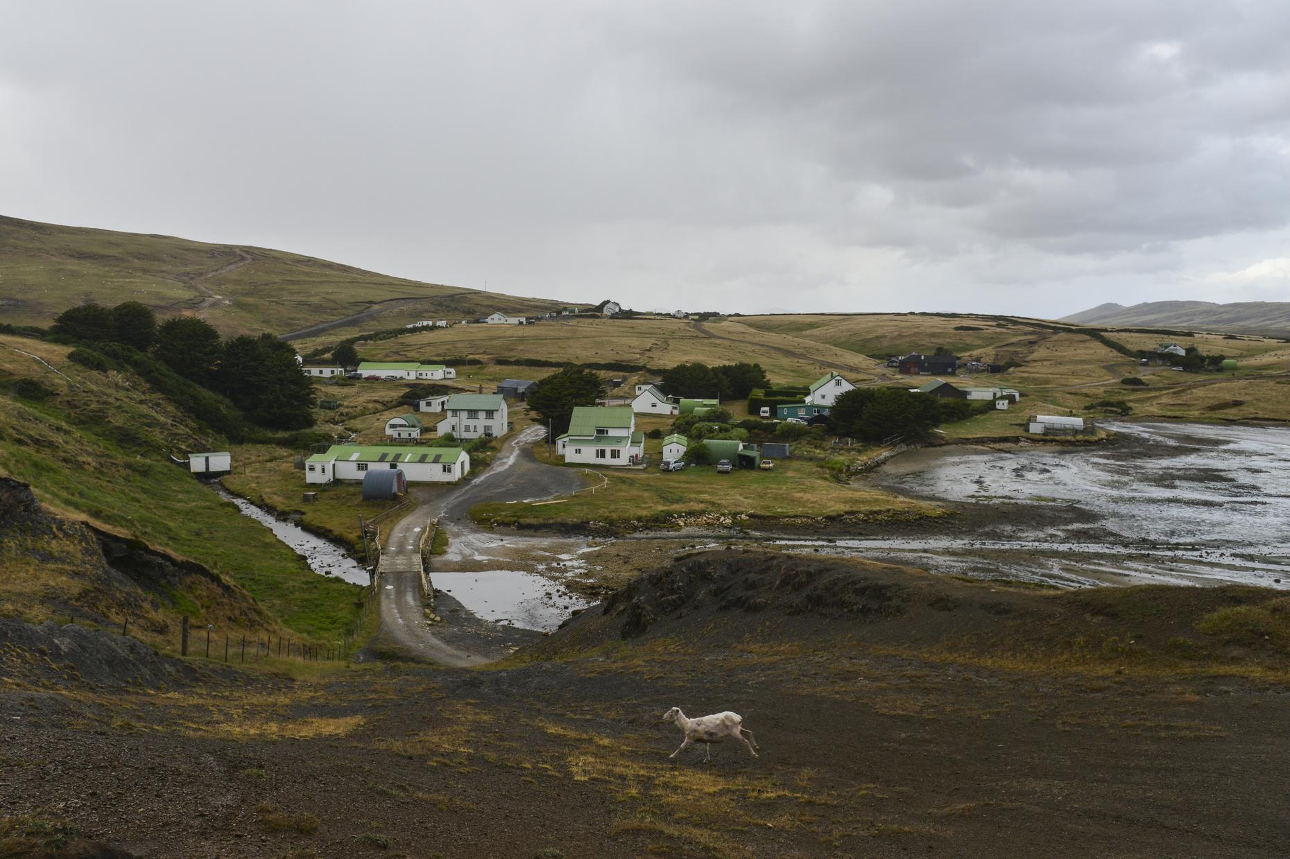 Reigniting The Falklands Conflict The Takeaway WNYC Studios   GettyImages 516908110 