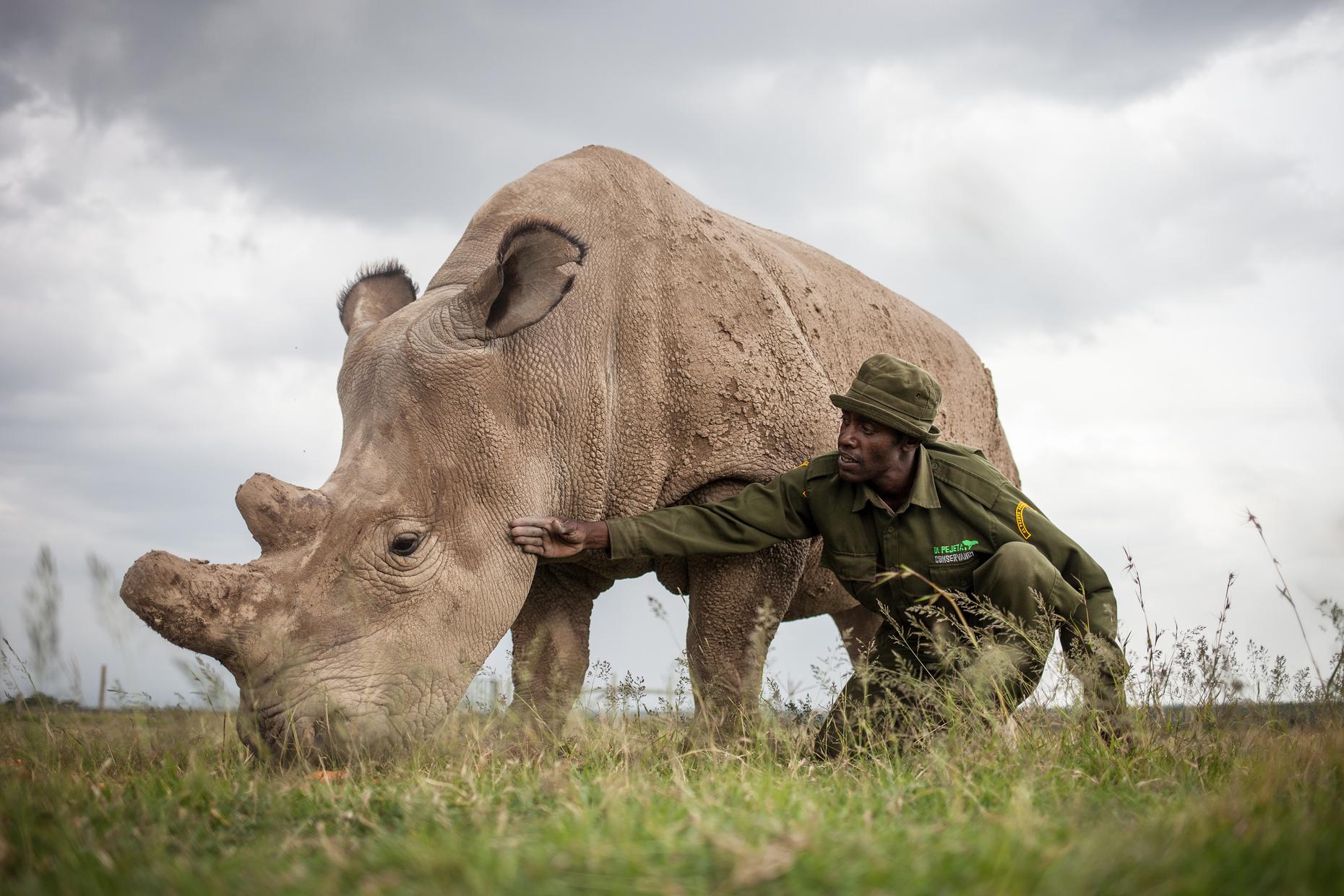 the-sixth-mass-extinction-is-here-the-takeaway-wnyc-studios