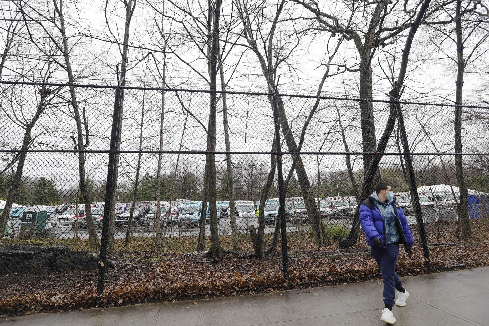 West Farms 10460 An Overview The Brian Lehrer Show WNYC