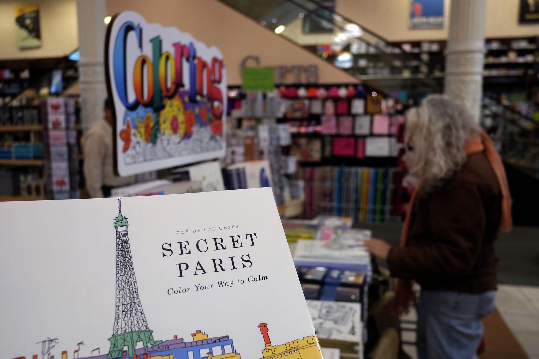 Secret Paris Adult Coloring Book Soft Cover Color Relax Stress Relief  Therapy