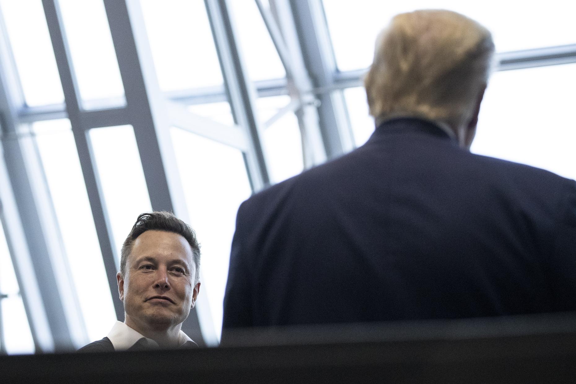 What Can Musk Offer Trump? And Defining “Decolonization” for Gaza
