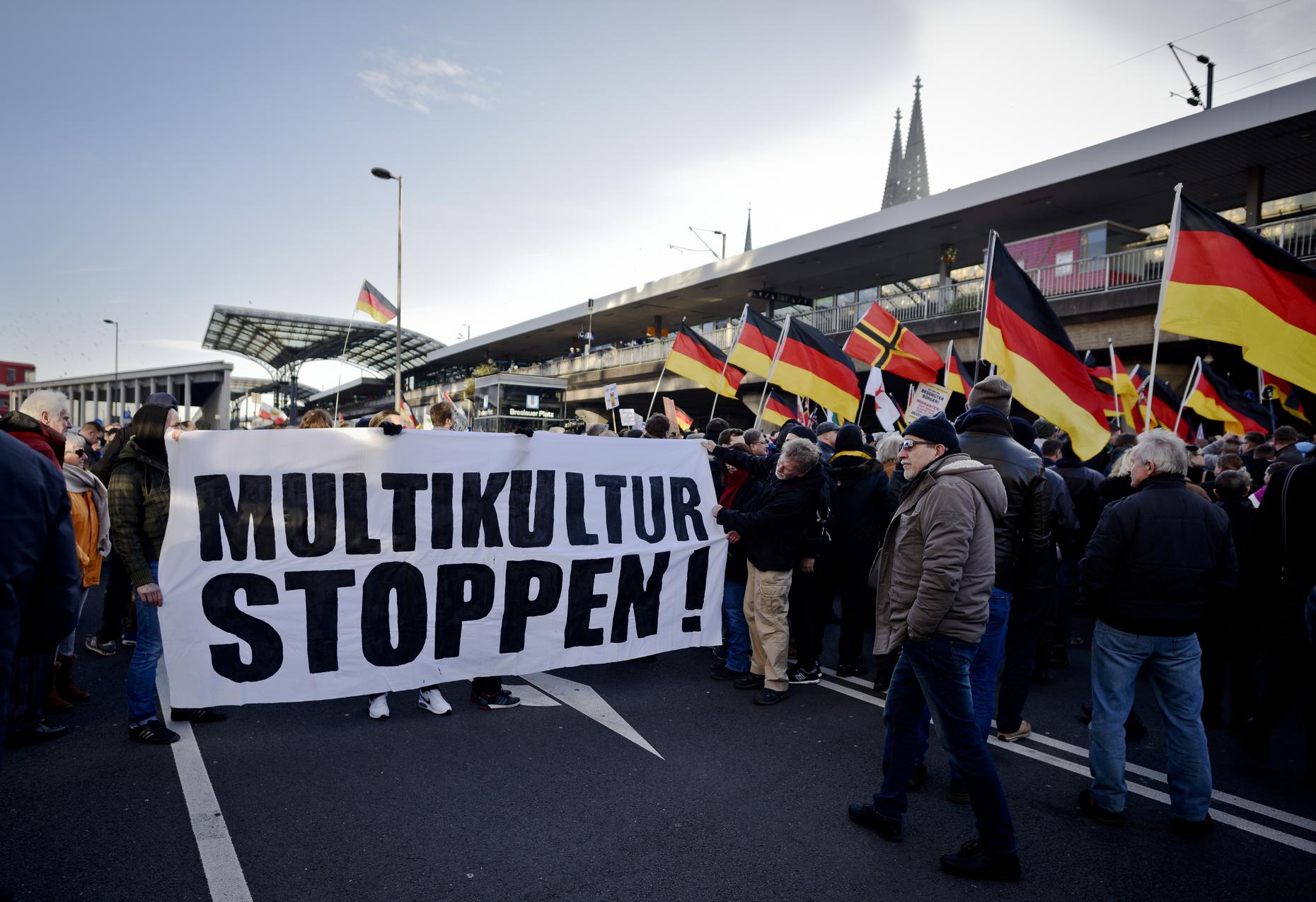 Новые правые. Митинг против мигрантов в Германии. Немцы против мигрантов. Националисты в Европе. Германские националисты.