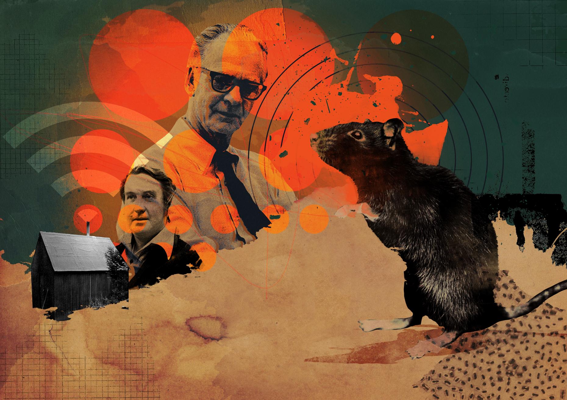 A History of Persuasion: Part 2