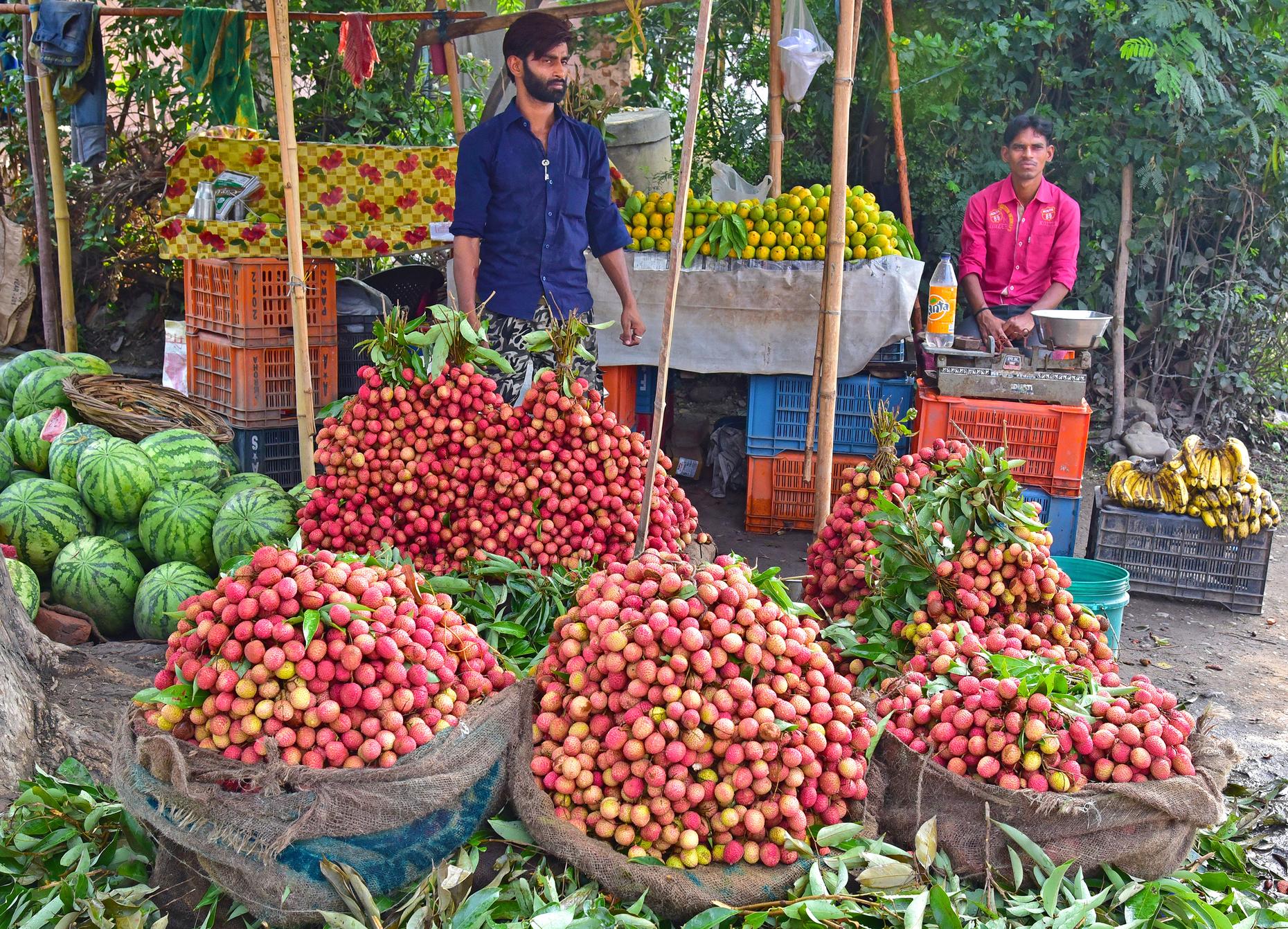 there-s-an-organic-food-revolution-taking-place-in-india-the-takeaway