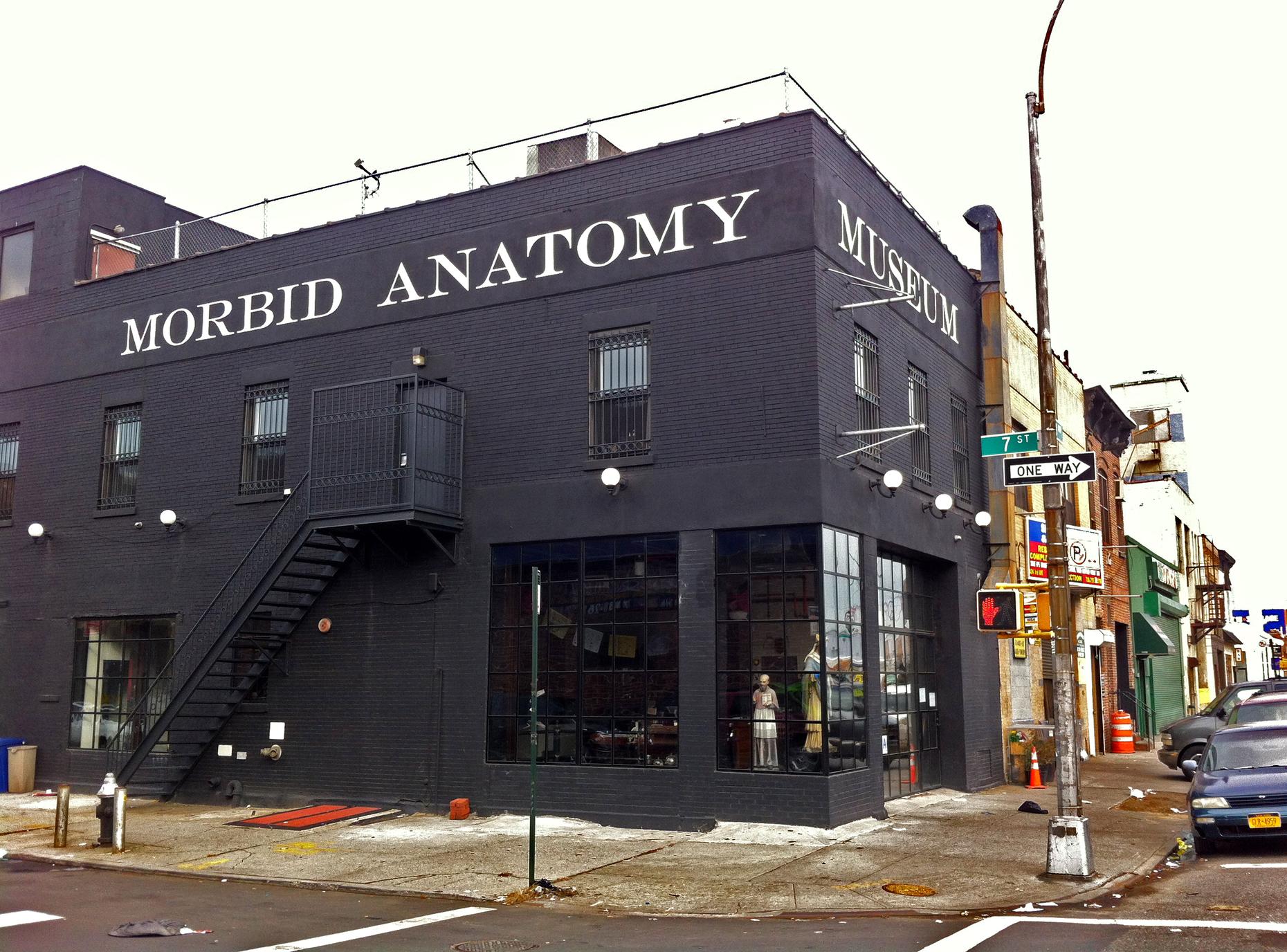 Gowanus' Morbid Anatomy Museum Closes WNYC New York Public Radio