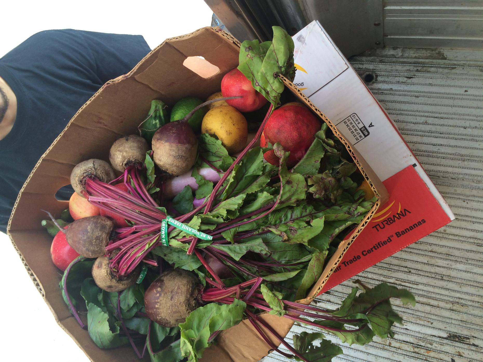 Today's Takeaways: Plane Crash Propaganda, Rethinking Food Waste, A ...