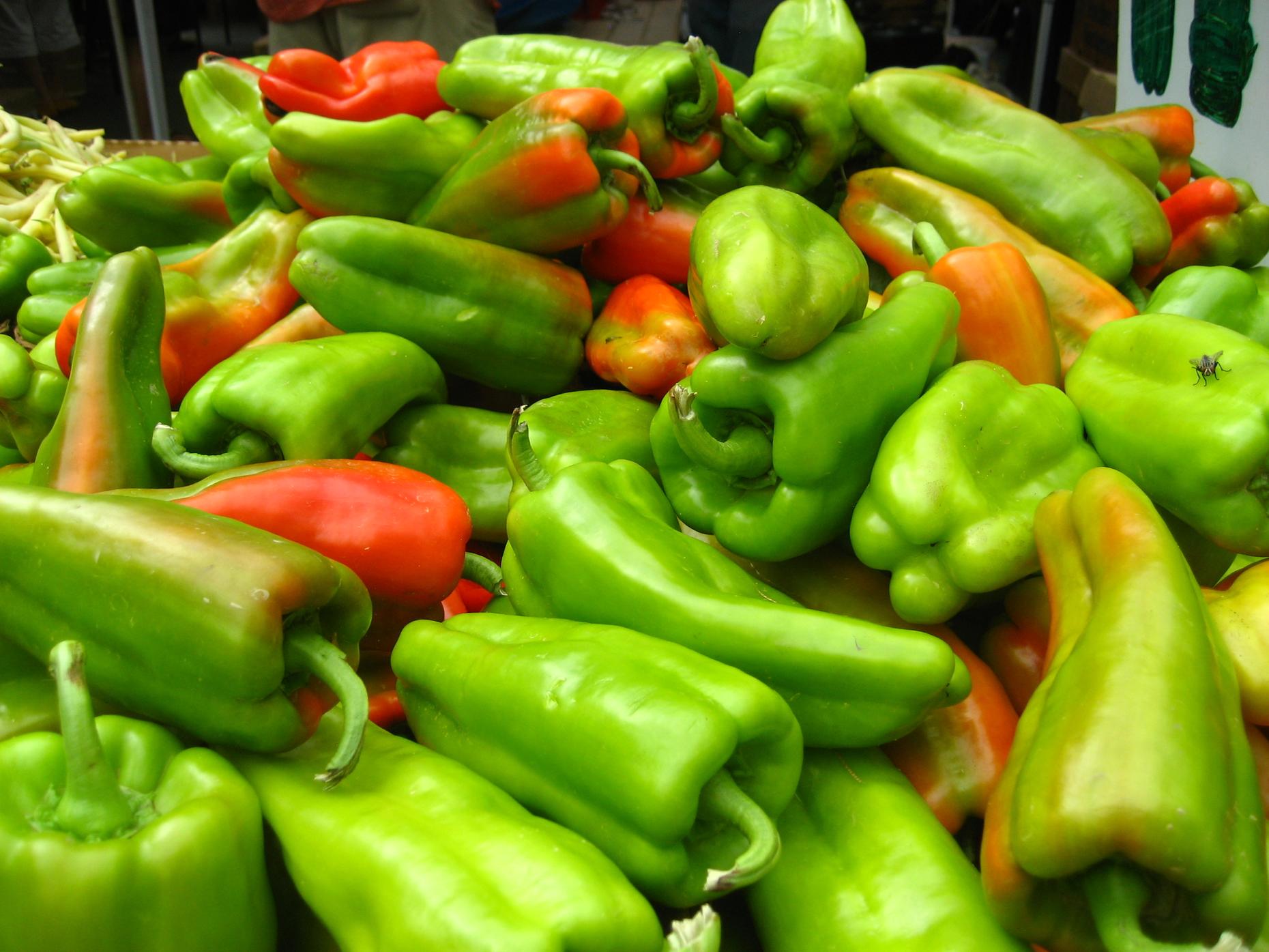 We Get Fired Up Over Peppers | The Leonard Lopate Show | WNYC