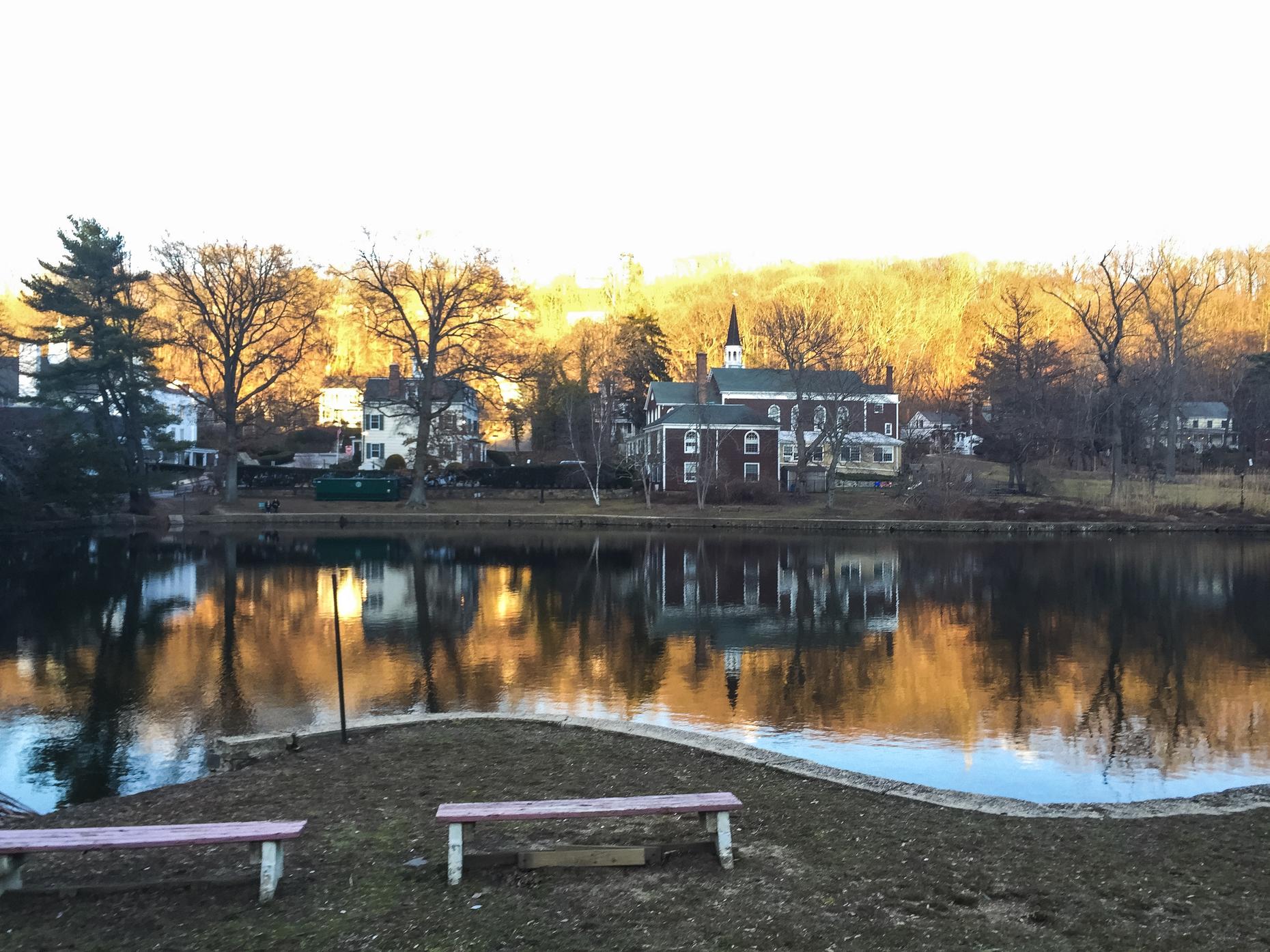 long-islanders-say-none-of-the-above-for-president-wnyc-new-york