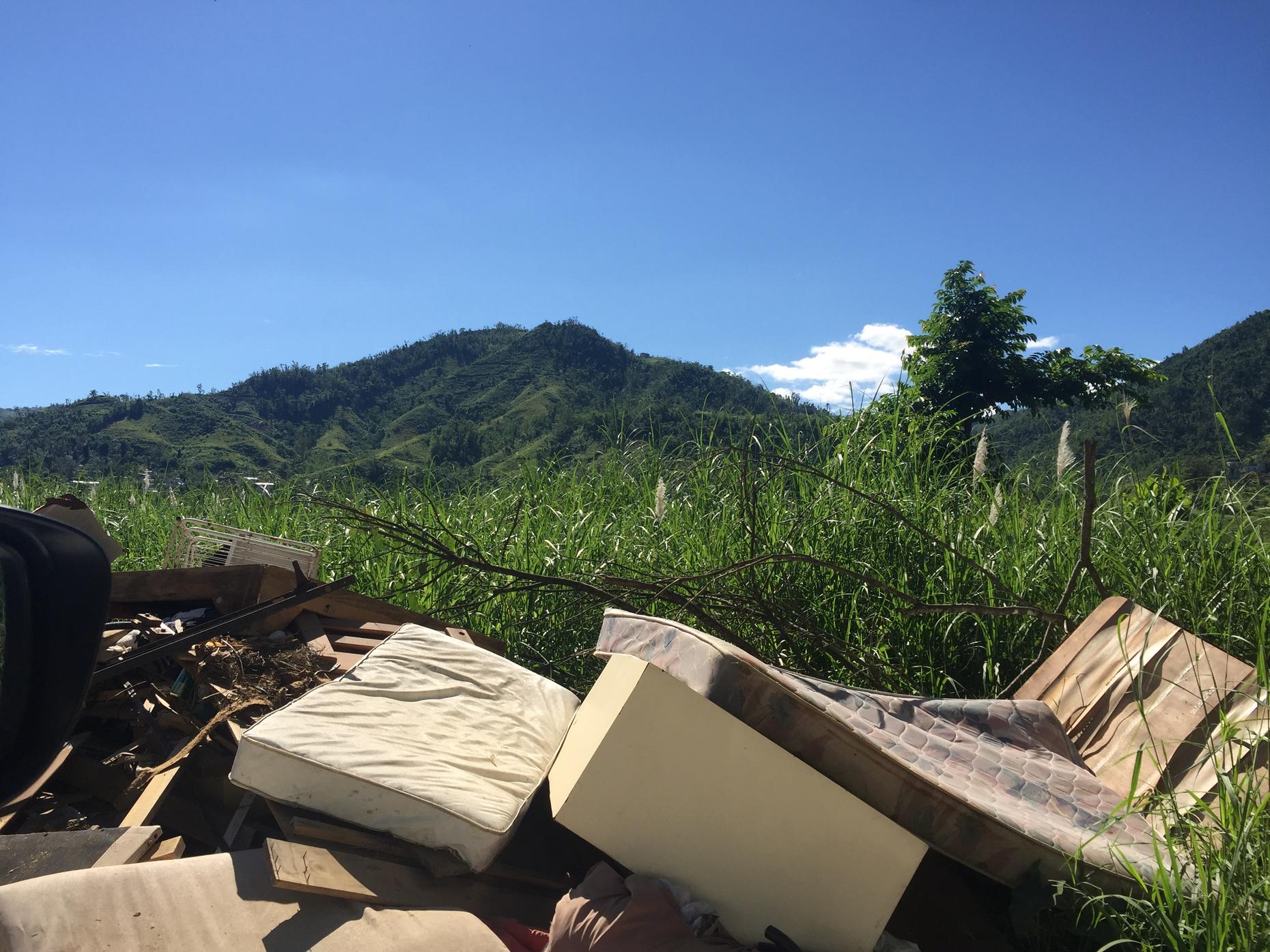 The Role of Private Investment in Rebuilding Puerto Rico The Brian