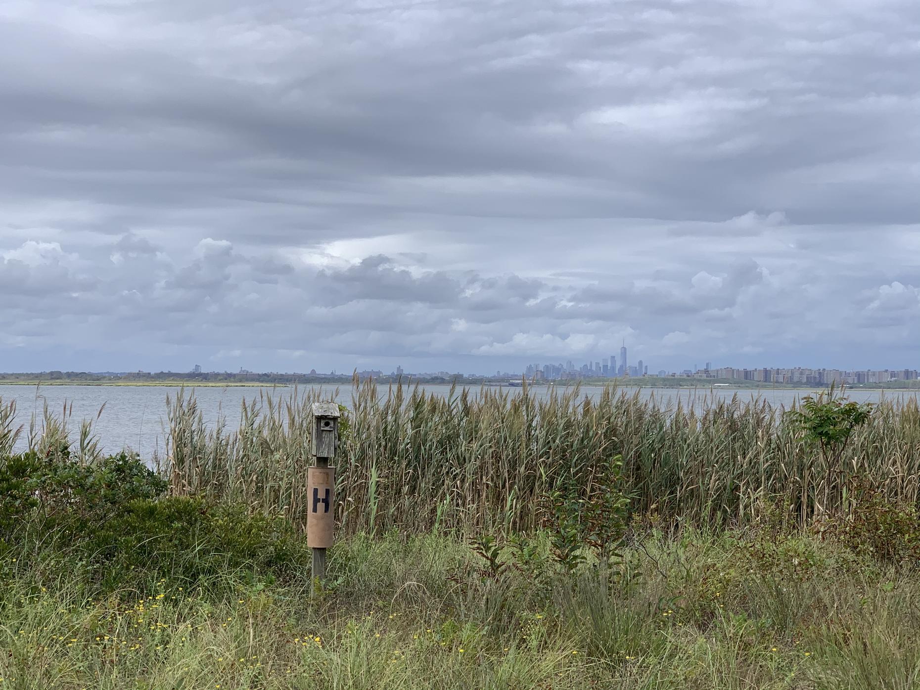 Planning Your Trip to the Jamaica Bay Wildlife Refuge  All Of It  WNYC