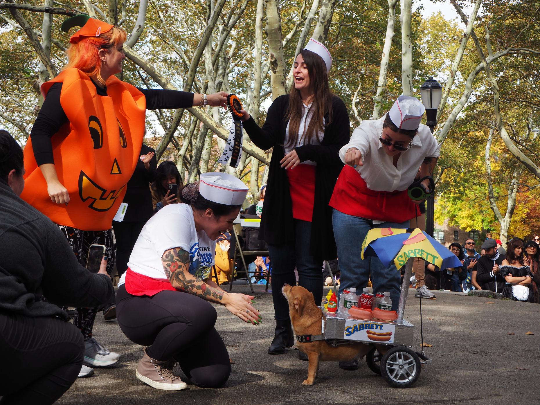 Great PUPkin Dog Costume Contest