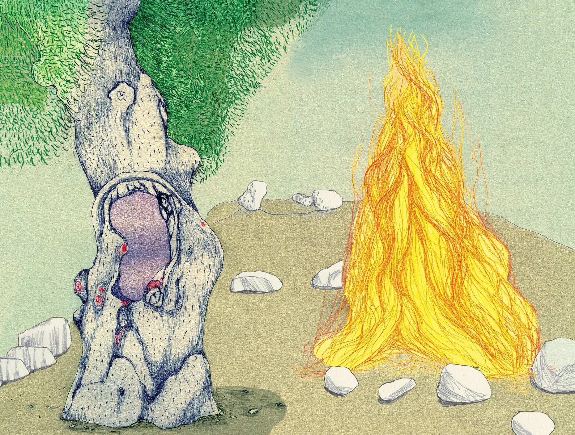 'Oak Flat A Fight for Sacred Land in the American West' All Of It WNYC Studios