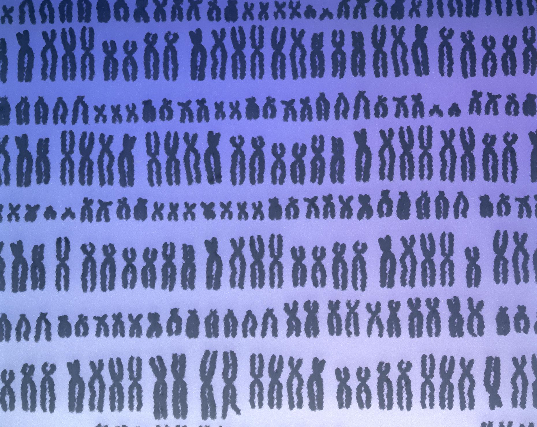 This Gene Was Edited By Brooke