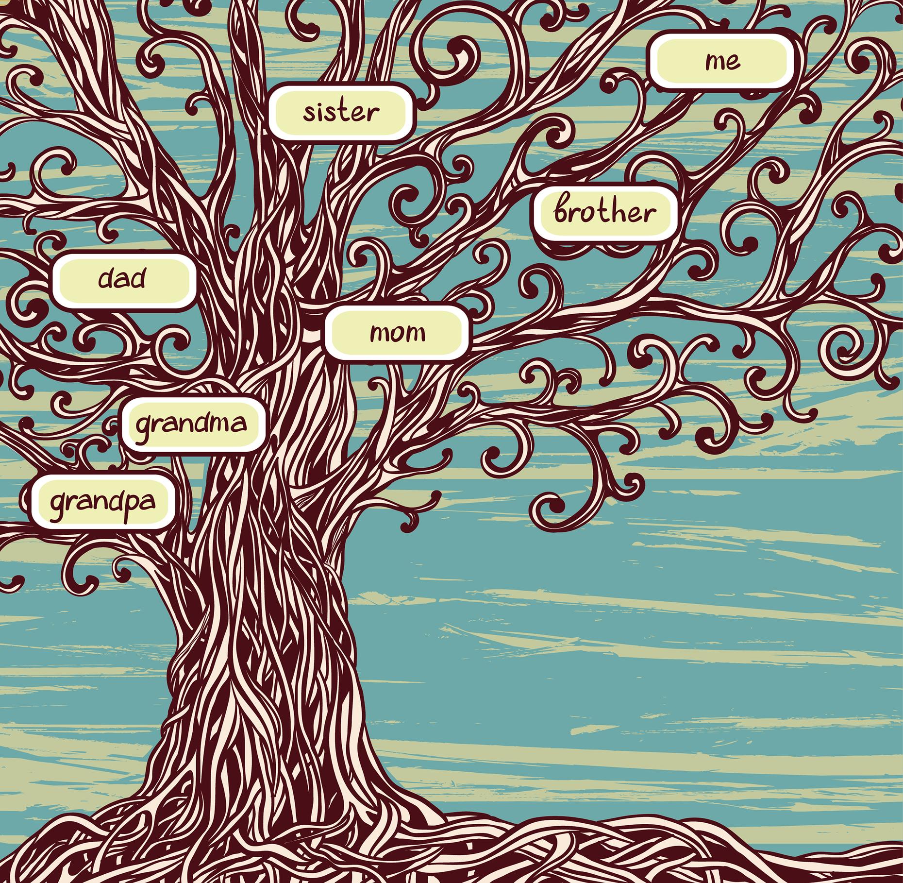 Tracing Your Family Tree Worksheet First Steps Family Tree Photos