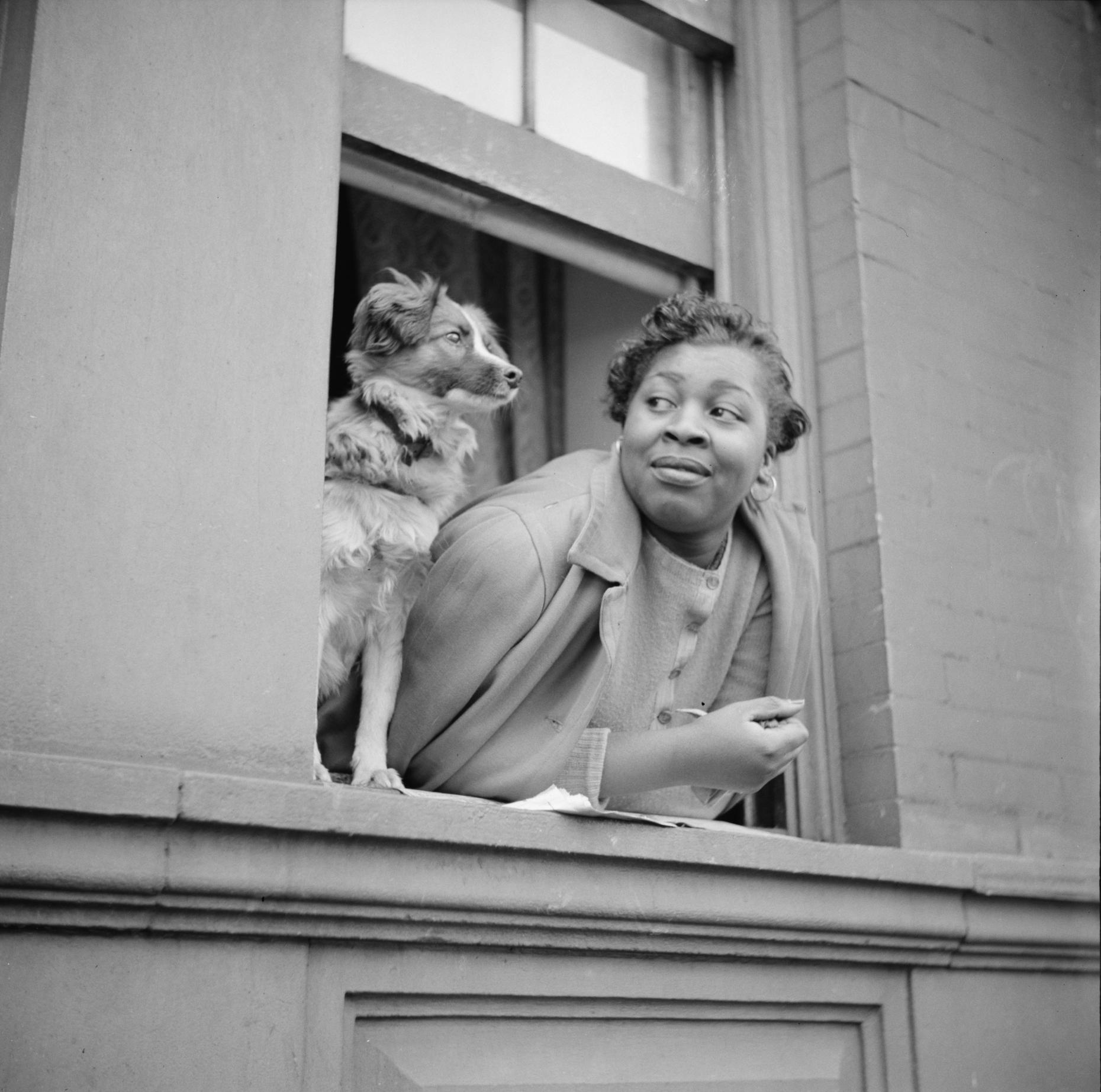 The History Of Pets In New York City All Of It WNYC the-history-of-pets-in-new-york-city-all-of-it-wnyc