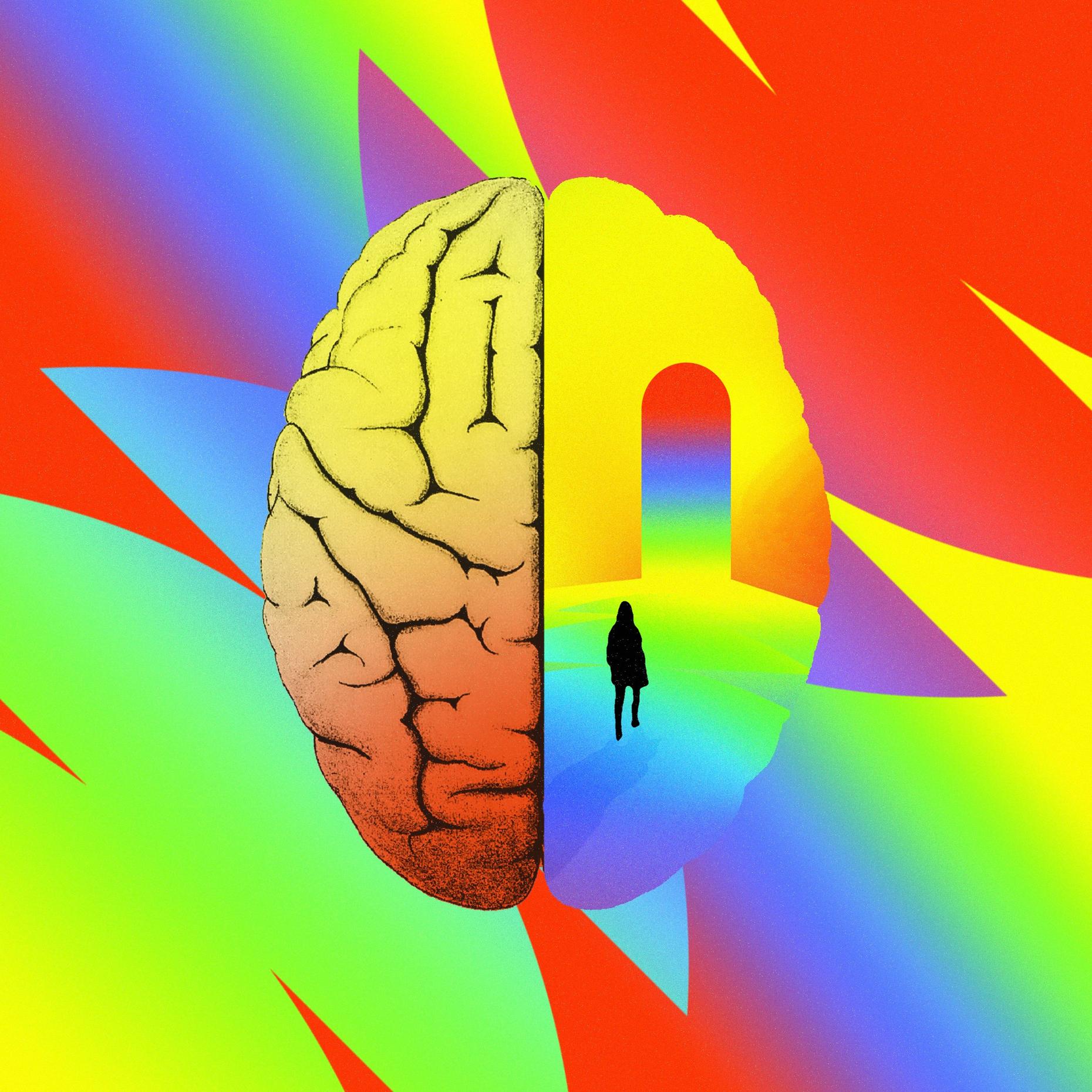 Note on The Ecstasy of an Open Brain via radiolab.org