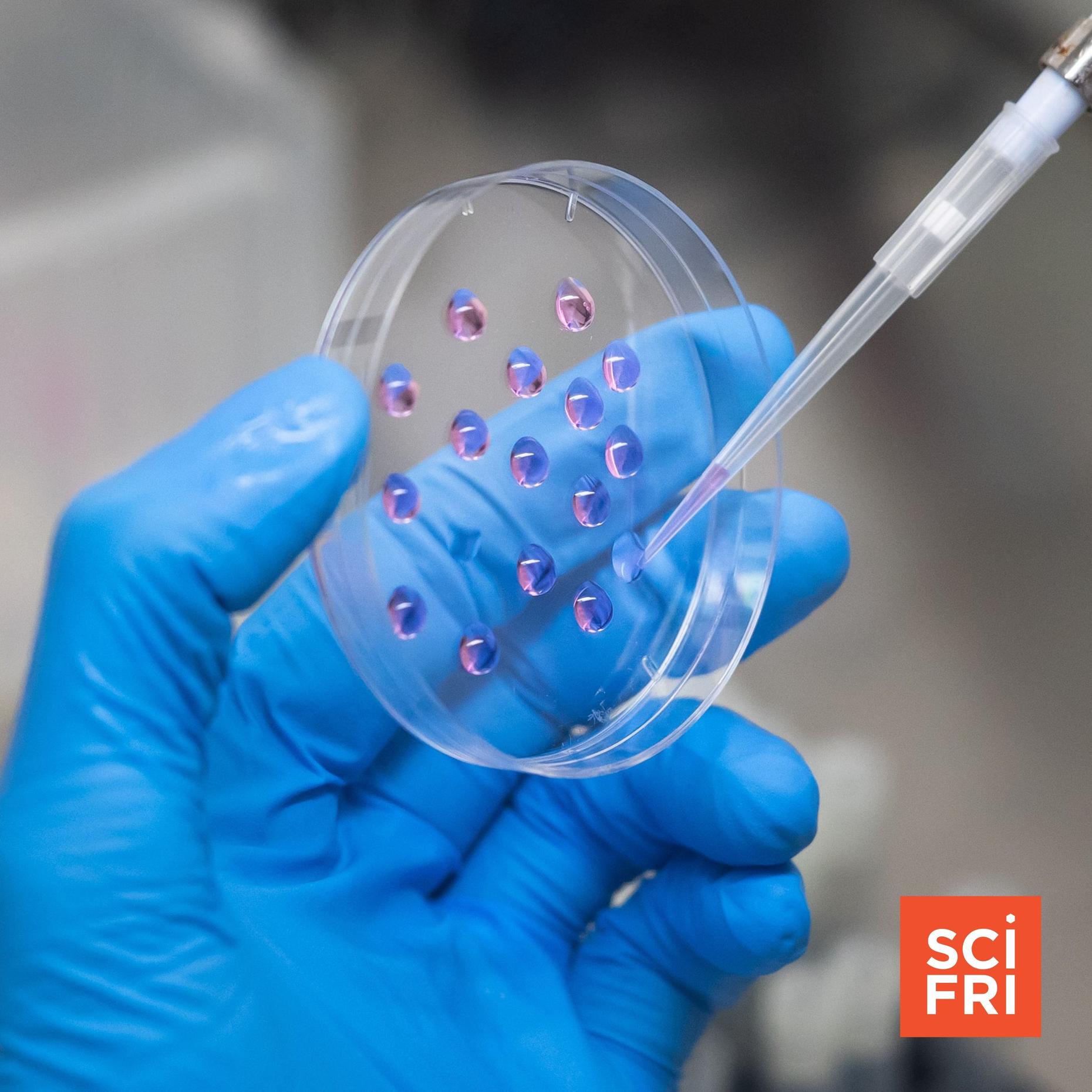 The new frontier of cancer research is in space | Science Friday | WNYC ...